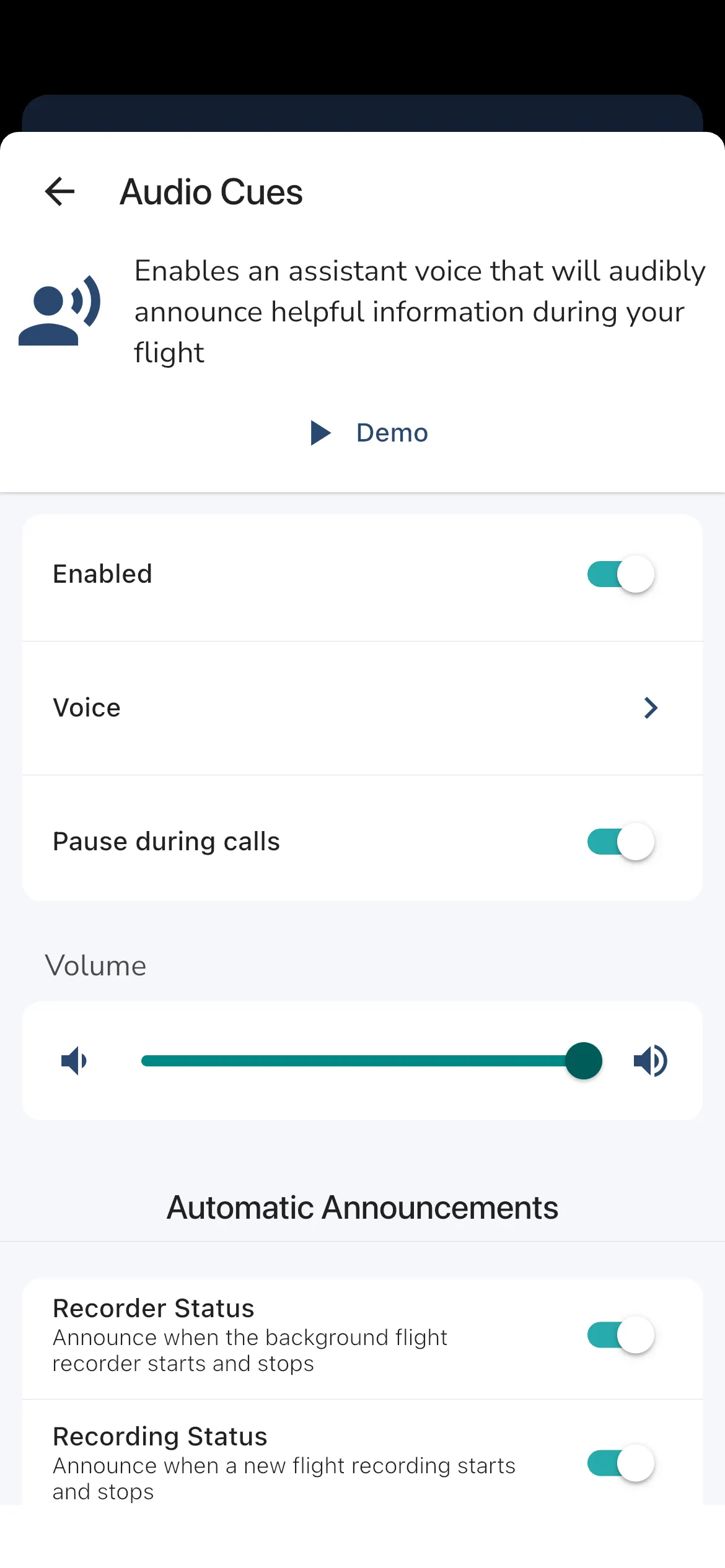 Audio Cue Settings